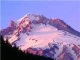Alpenglow on the Slopes of Mount Hood, Oregon - 