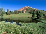 Alpine Tarn and Mount Belleview, Paradise Divide