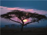 East African Sunset - 1600x1200 - ID 24704