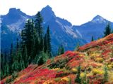 Fall Spectrum in the Tatoosh Range, Mount Rainie
