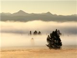 Fog at Sunrise, Pelican Valley, Yellowstone Nati