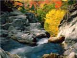 Glen Ellis Falls, White Mountain National Forest